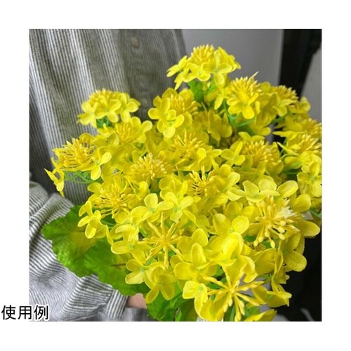 菜の花スプレー50cm 24本組 23−