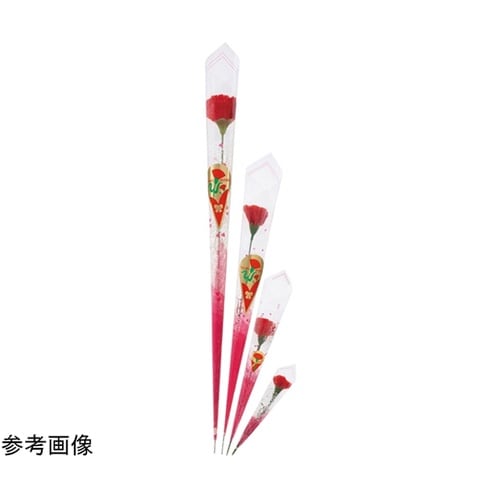 カーネーションラップ巻 レッド L14c