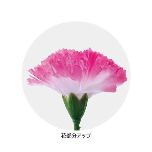 カーネーションラップ巻 ピンク L41c