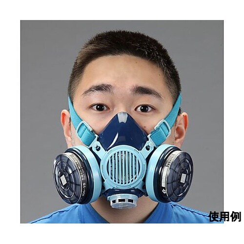直結型防毒マスク(防塵併用/2缶式) E
