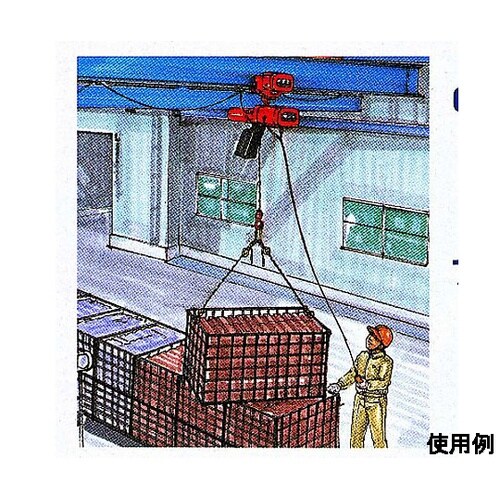 AC100V/250kg 5.0m 電動