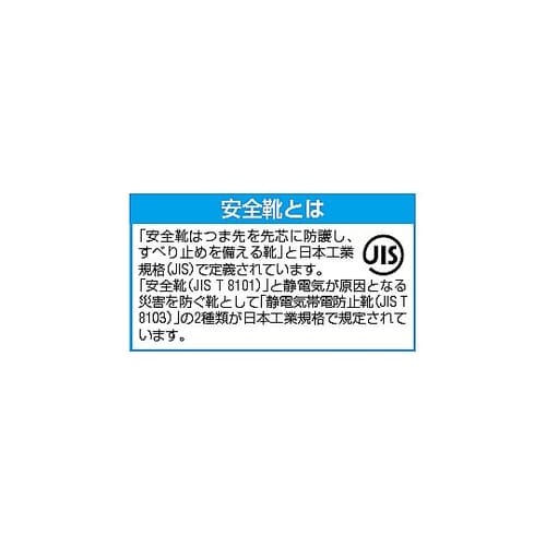 26.5cm 安全靴(防災用/踏抜き防止