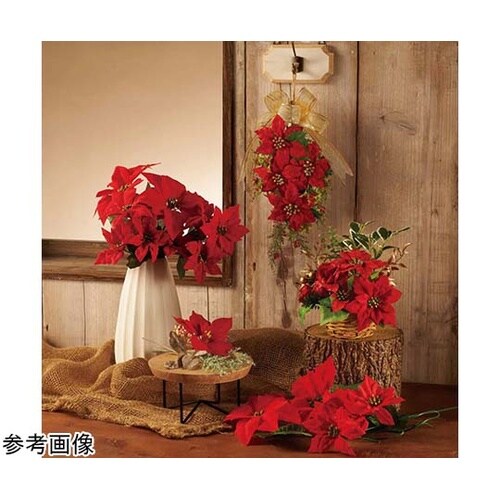 ポインセチアスプレー 53cm 24本