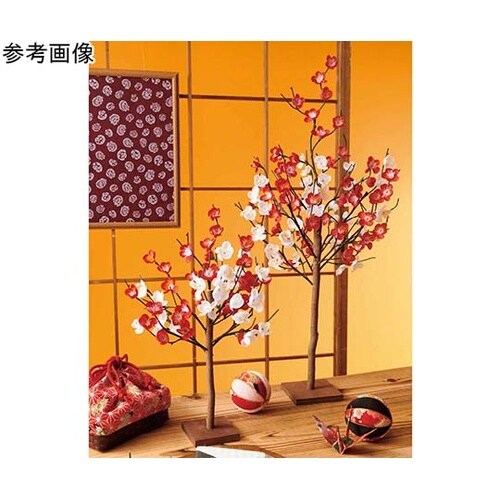 梅立ち木 高さ68cm 38−169−9