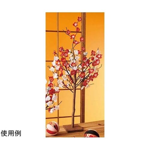 梅立ち木 高さ68cm 38−169−9