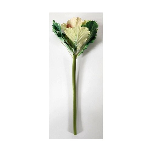 ハボタンスプレー(葉牡丹) 35cm グ