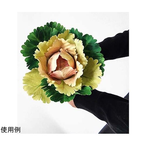 ハボタンスプレー(葉牡丹) 35cm グ