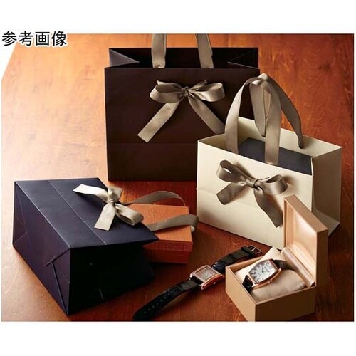 手提げ紙袋 ノブレス クリーム S 10