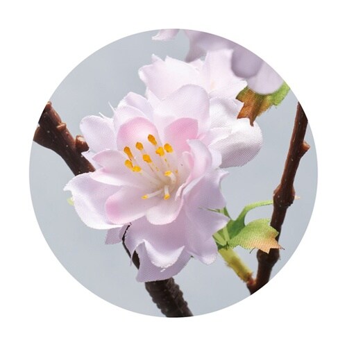 うたかた桜スプレー 110cm 33−6