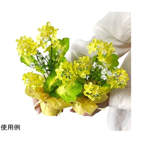 菜の花ラップ 2個 33−14−6−1