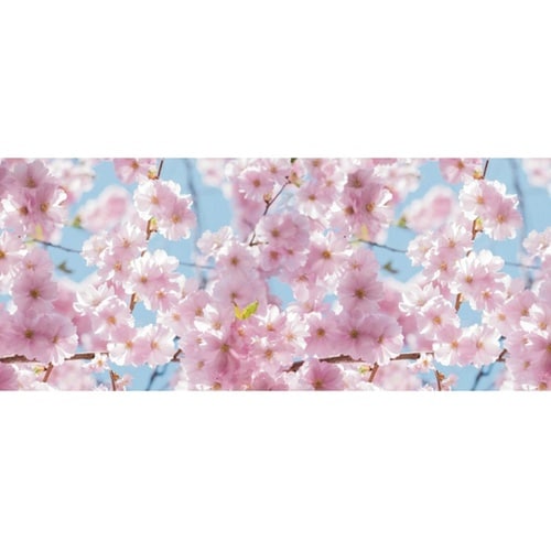 ディスプレイシート 桜 200×87cm