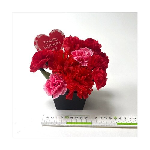 スクエアカーネーションポット 幅15×高