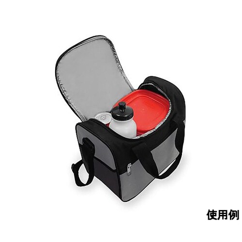 304x171x266mm/10.65L