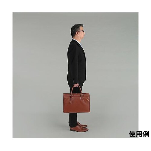 425x300x110mm ブリーフケー