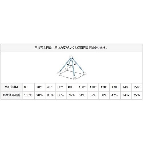 3.0tonx5.0m 金具付スリング(