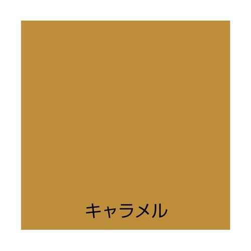 水性オールマイティーネオ 0.7L キャ