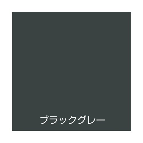 水性スプレー 300mL ブラックグレー
