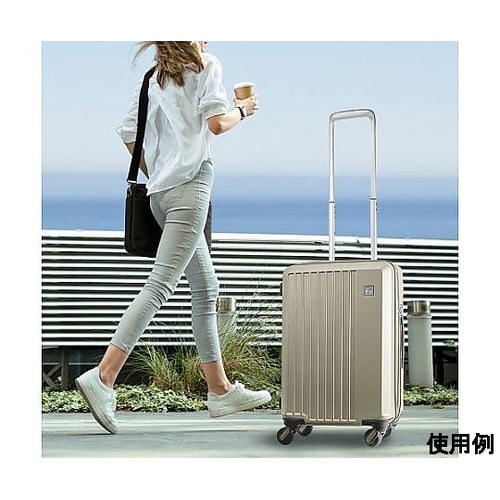 310×210×410mm/22L キャ