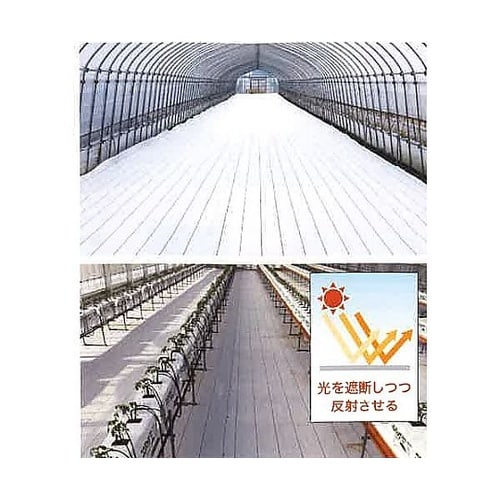 2.0x25m 防草シート(白) EA9