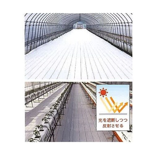2.0x50m 防草シート(白) EA9