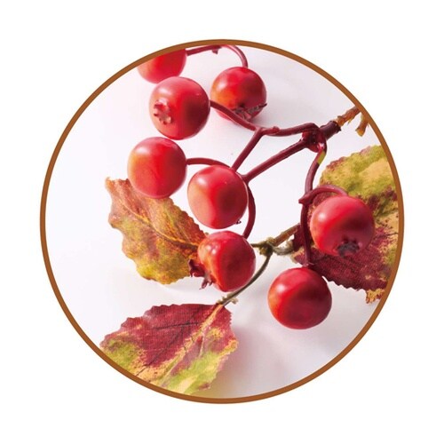 コリーヌローズヒップ造花スプレー 76c