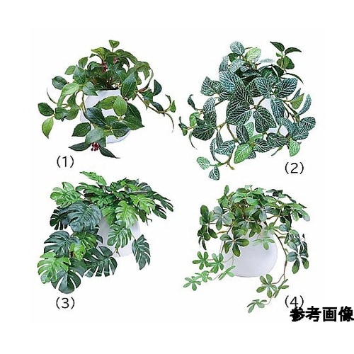 卓上フェイクグリーンMRラウンドポット(