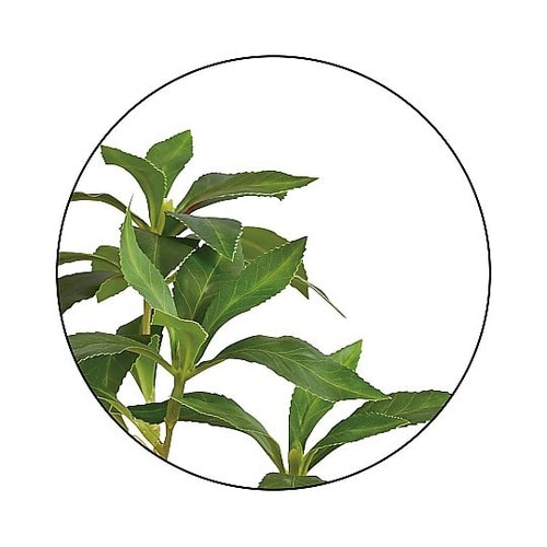 人工樹木 キンモクセイ 61−780−4