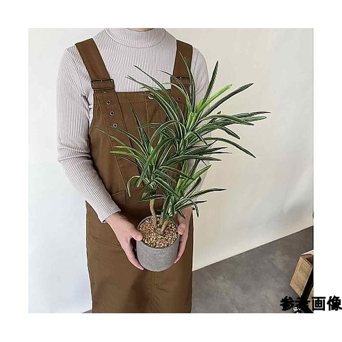 セメントポット ユッカ 61−810−6