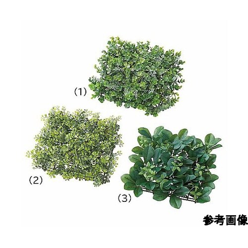 グリーンマット ユーカリベリー 61−8