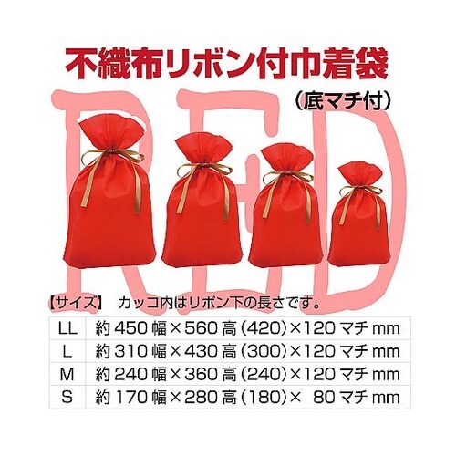 フロンティア 不織布リボン付きギフトバッ