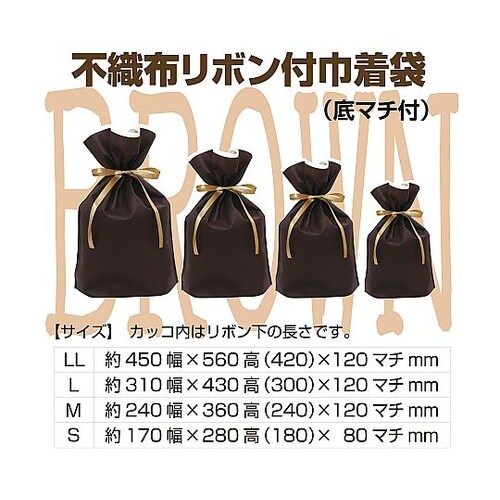 フロンティア 不織布リボン付きギフトバッ