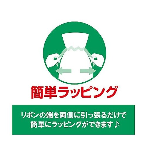 フロンティア 不織布リボン付きギフトバッ