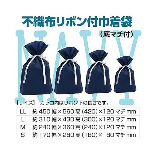 フロンティア 不織布リボン付きギフトバッ