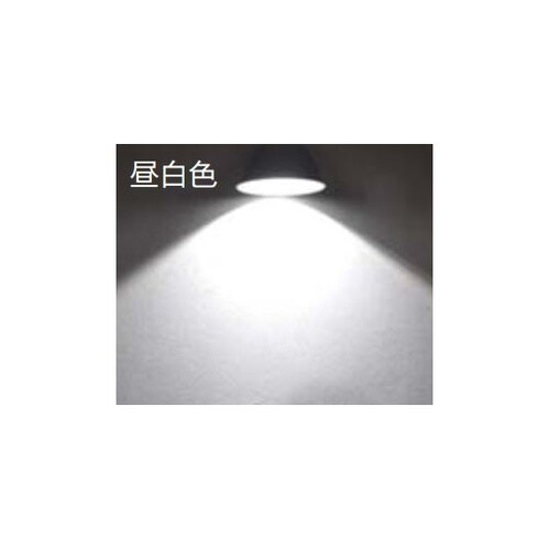 LEDビームランプ(屋内外兼用) 高演色