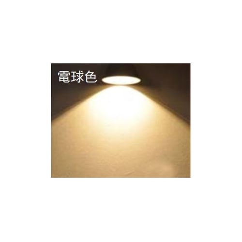 LEDビームランプ(屋内外兼用) 高演色