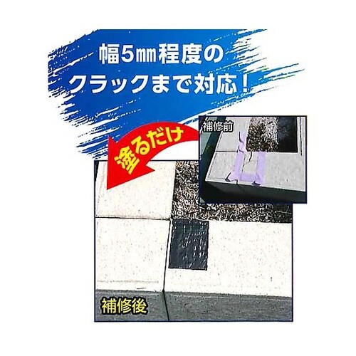 フラッシュシール ブラック 750mL