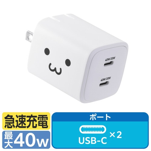 USB充電器 C×2 40W 急速充電 しろちゃん