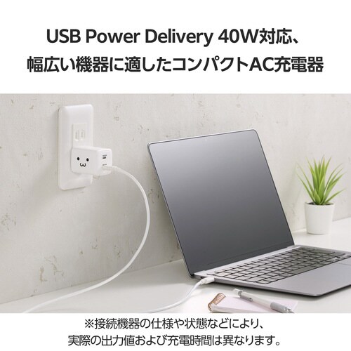 USB充電器 C×2 40W 急速充電 しろちゃん