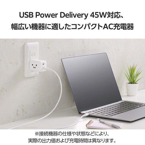 USB充電器 C×2 45W 急速充電 しろちゃん