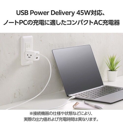 USB充電器 C×2 A×1 45W しろちゃん