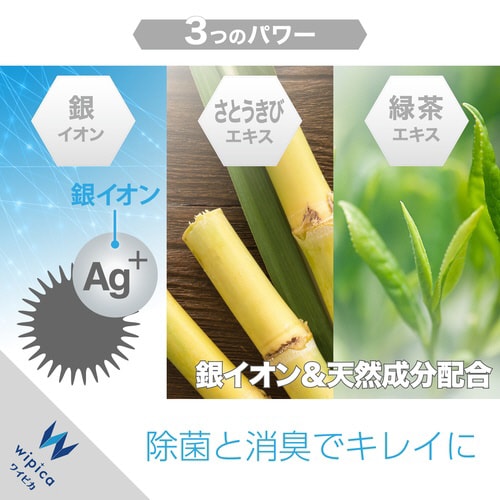 ウェットティッシュ 50枚入2個パック アルコール