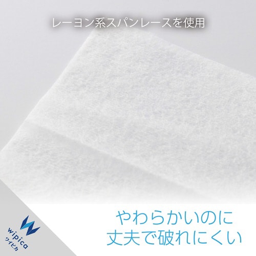 ウェットティッシュ 50枚入2個パック アルコール