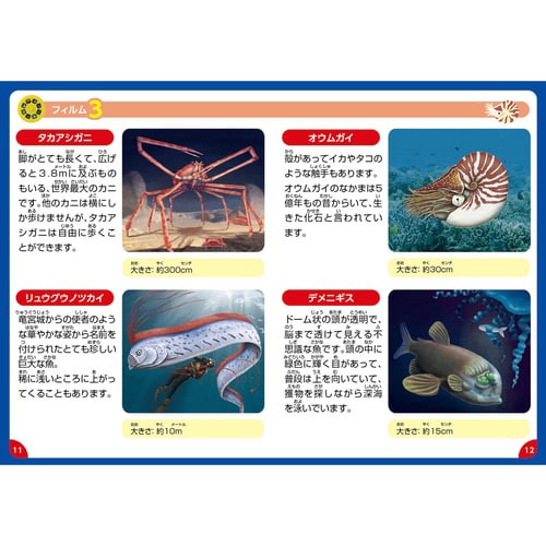 ふしぎな深海のいきものプロジェクター