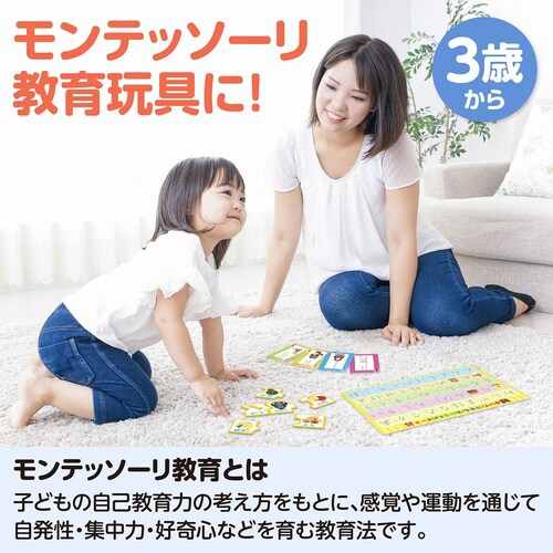 アーテック 言語教育5点セット