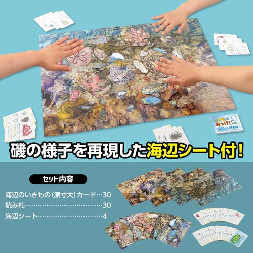 いきものみっけ!かるた うみべのいきもの