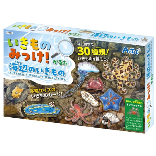 いきものみっけ!かるた うみべのいきもの