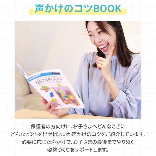 Artec MiraTOY カラフルテトパズル