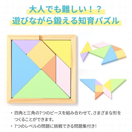 ArtecMiraTOY 木製タングラムパズル
