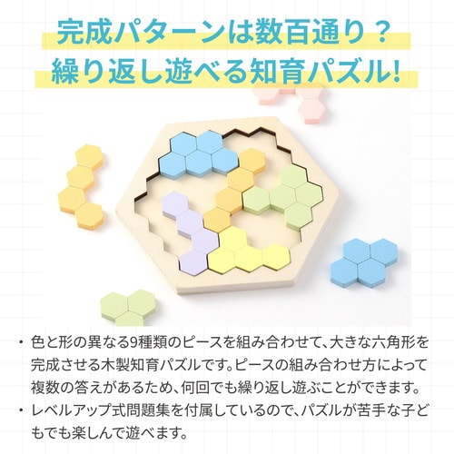 ArtecMiraTOY木製ヘキサゴンパズルパステ