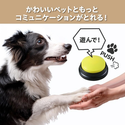 ペットと会話ボタン